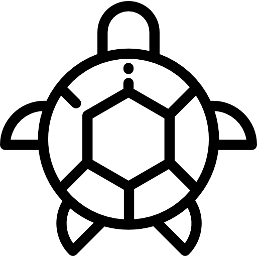 schildkröte Detailed Rounded Lineal icon