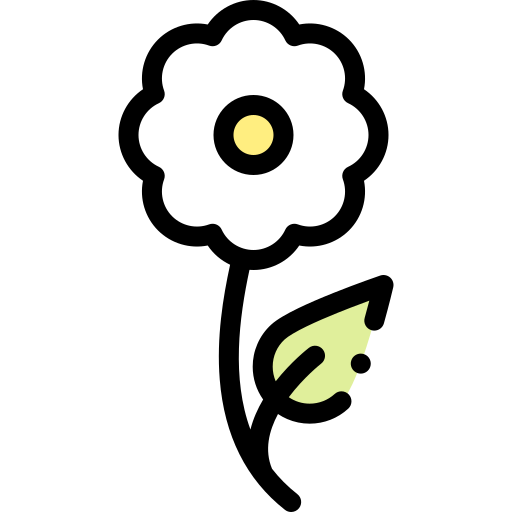 Daisy Detailed Rounded Lineal color icon