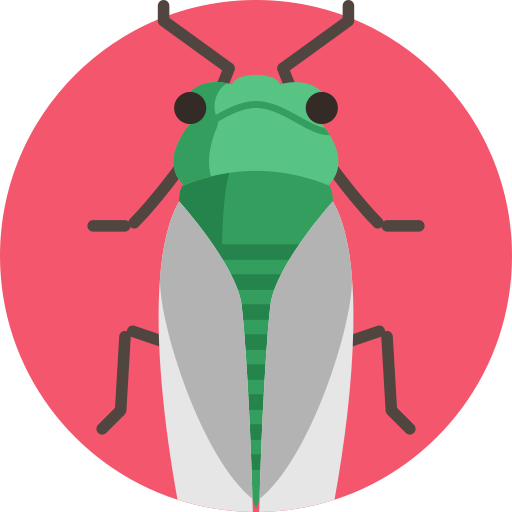 Cicada Detailed Flat Circular Flat icon