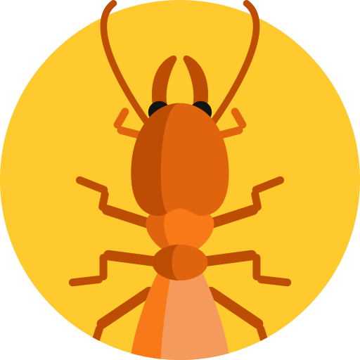 Termite Detailed Flat Circular Flat icon