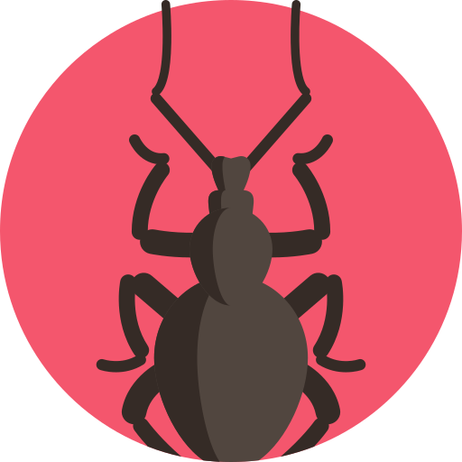 Weevil Detailed Flat Circular Flat icon