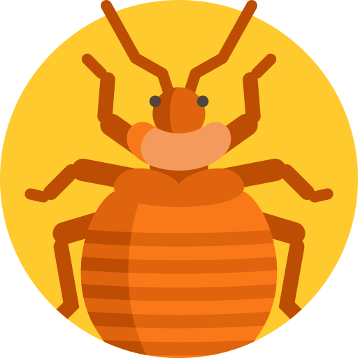 Bedbug Detailed Flat Circular Flat icon