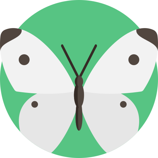 kohl schmetterling Detailed Flat Circular Flat icon