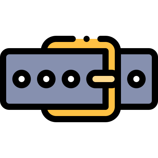Belt Detailed Rounded Lineal color icon