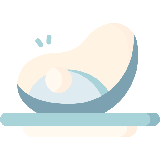 Oyster Special Flat icon