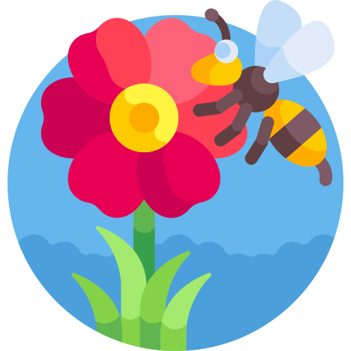 pszczoła Detailed Flat Circular Flat ikona