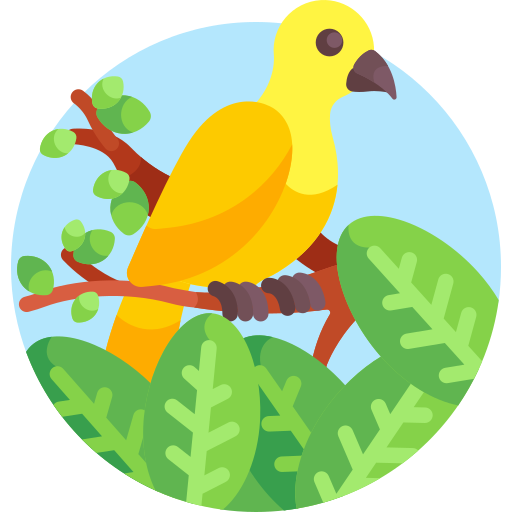 vogel Detailed Flat Circular Flat icon