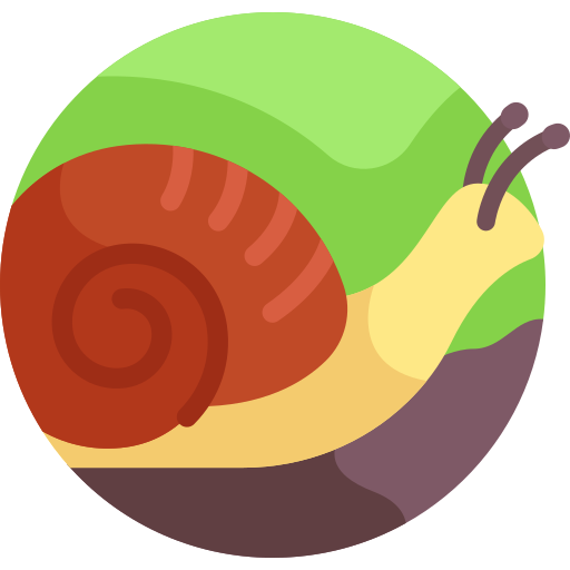 Caracol Detailed Flat Circular Flat icono