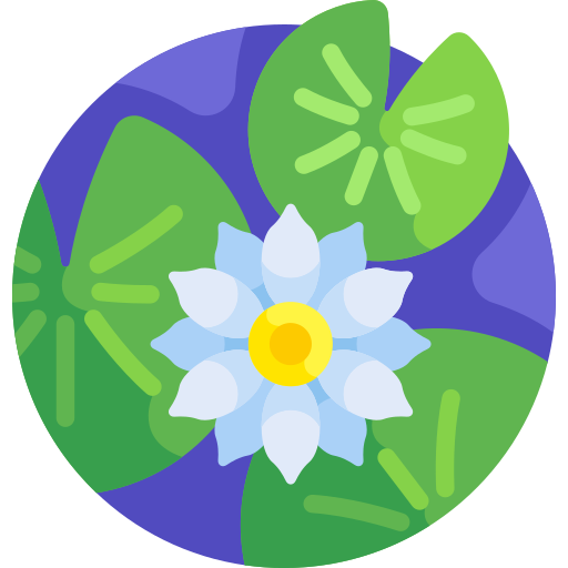 로터스 Detailed Flat Circular Flat icon