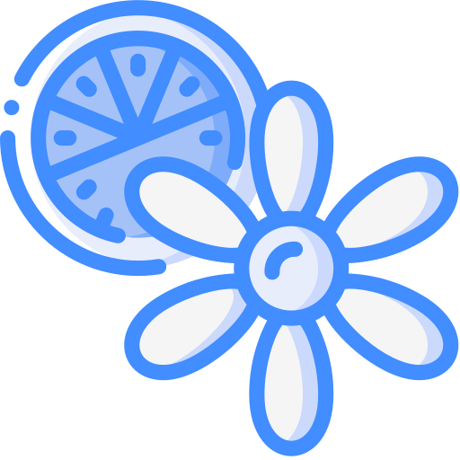 zitrusfrüchte Basic Miscellany Blue icon