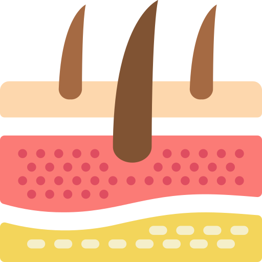 Dermis Basic Miscellany Flat icon