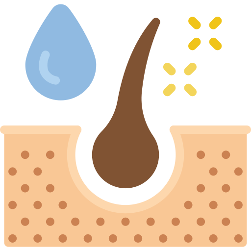 Derme Basic Miscellany Flat Ícone