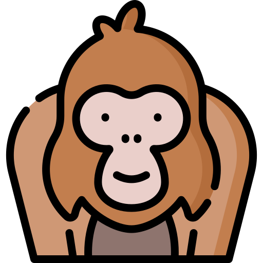 orangutan Special Lineal color icona