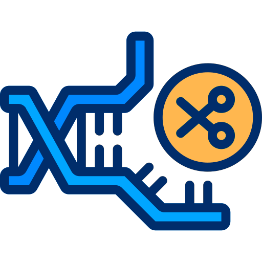 Dna Berkahicon Lineal Color icon