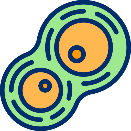 Cells Berkahicon Lineal Color icon
