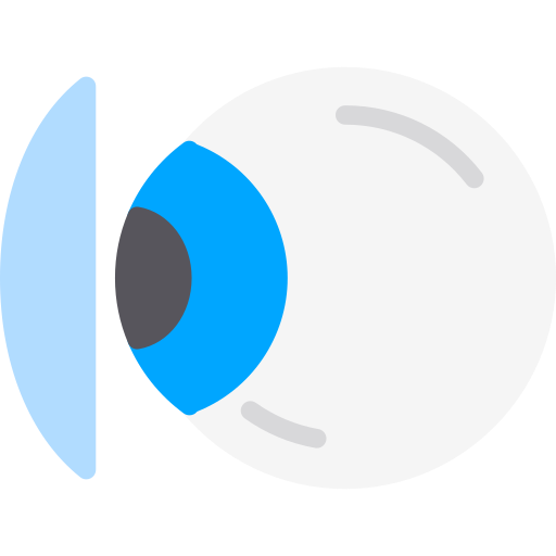 Contact lens Berkahicon Flat icon