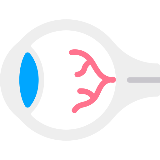 Eye Berkahicon Flat icon