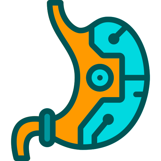 Stomach Berkahicon Lineal Color icon