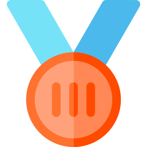 Bronze medal Basic Rounded Flat icon