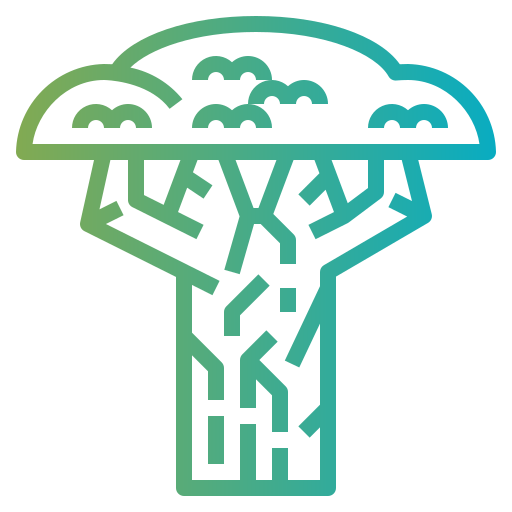 Baobab Smalllikeart Gradient icono