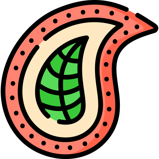 페이즐리 Special Lineal color icon