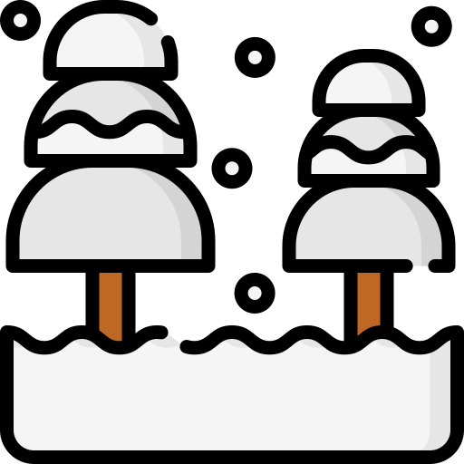 Invierno Special Lineal color icono