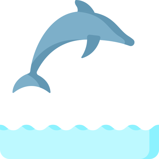 Dolphin Special Flat icon