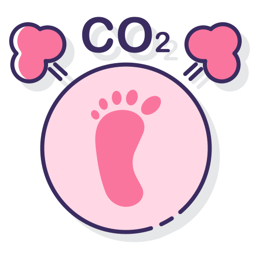 co2-fußabdruck Flaticons Lineal Color icon
