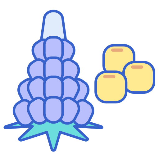 lupine Flaticons Lineal Color icon
