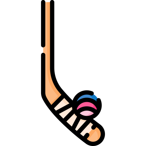 kij hokejowy Special Lineal color ikona