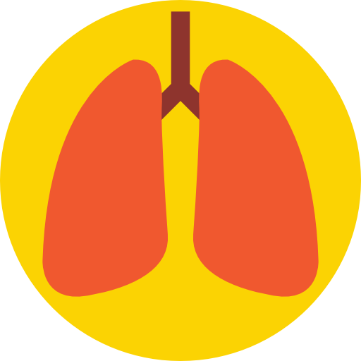 肺 Prosymbols Flat icon