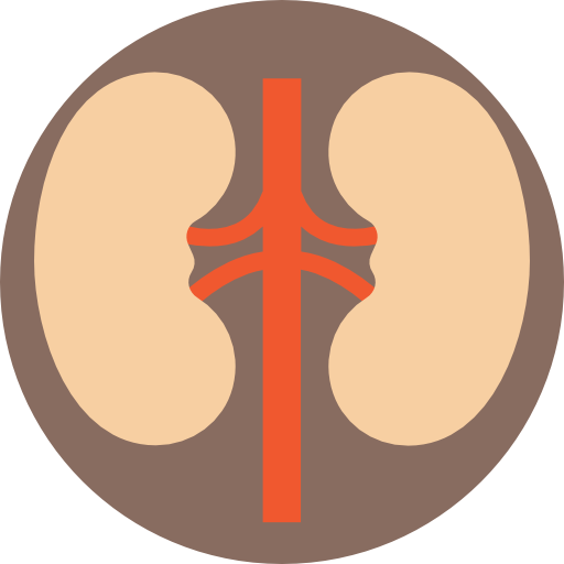 Kidney Prosymbols Flat icon