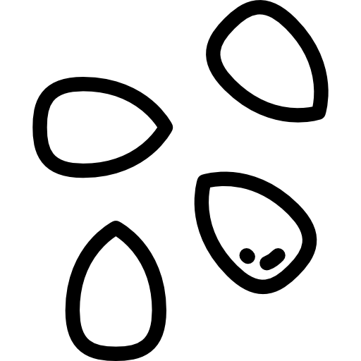 Кунжут Detailed Rounded Lineal иконка