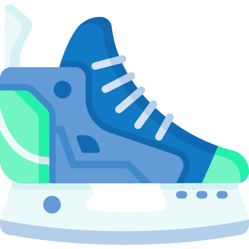 scarpe da pattinaggio sul ghiaccio Special Flat icona