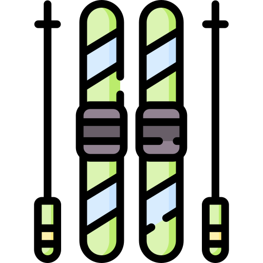 Esquiar Special Lineal color icono