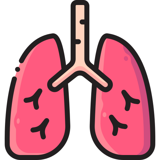 Lungs Vitaliy Gorbachev Lineal Color icon
