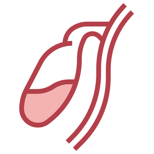 Gallbladder Surang Red icon