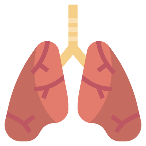 Lungs Surang Flat icon