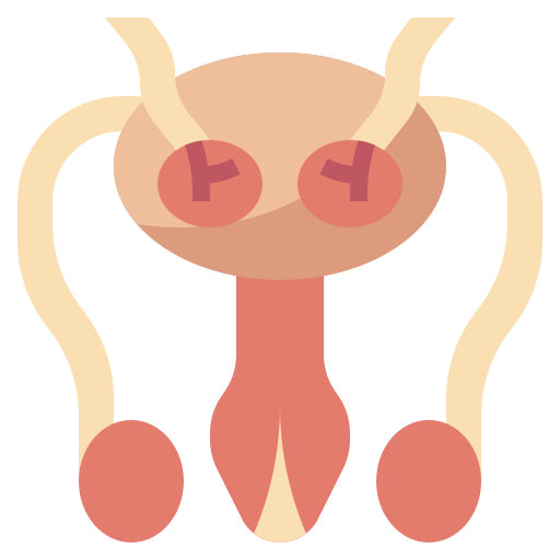 Reproductive system Surang Flat icon