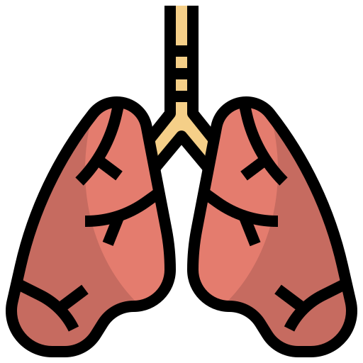 Lungs Surang Lineal Color icon