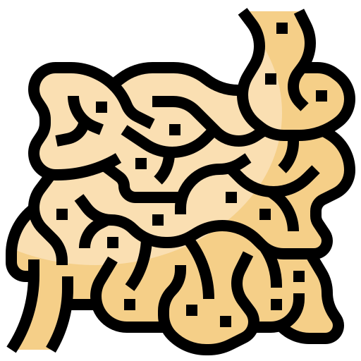 Intestino delgado Surang Lineal Color icono