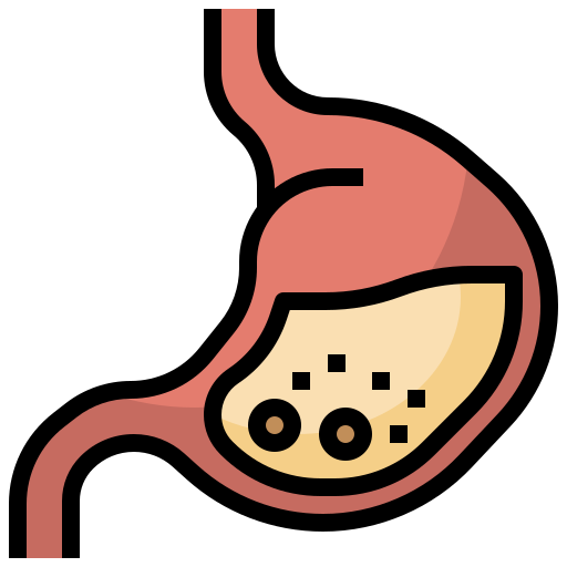Stomach Surang Lineal Color icon