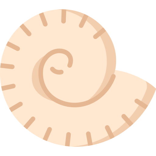 nautilus Special Flat icon