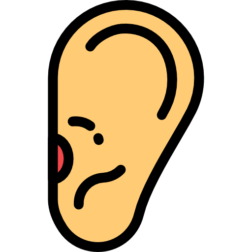 耳 Detailed Rounded Lineal color icon