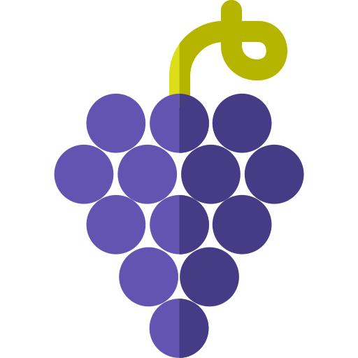 Grapes Basic Rounded Flat icon