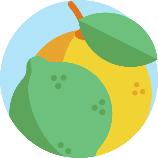citrus Detailed Flat Circular Flat icoon