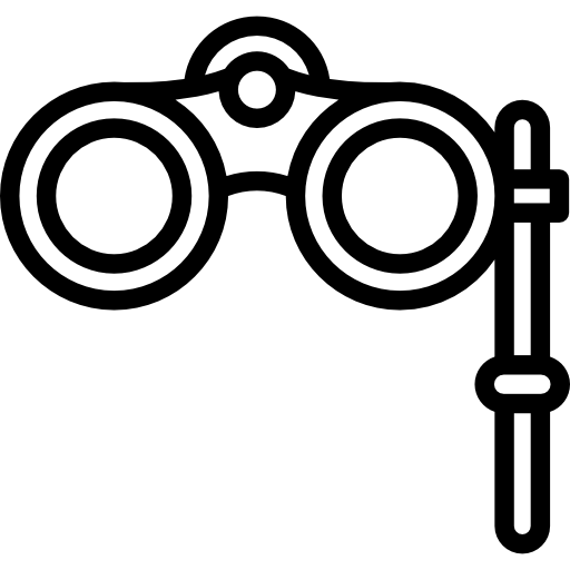 Binoculars Special Lineal icon