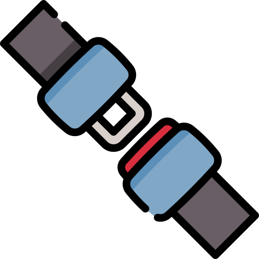 Cinturón de seguridad Special Lineal color icono