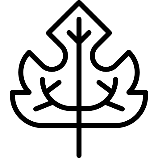Maple leaf Special Lineal icon