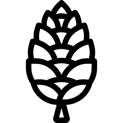 円錐 Detailed Rounded Lineal icon